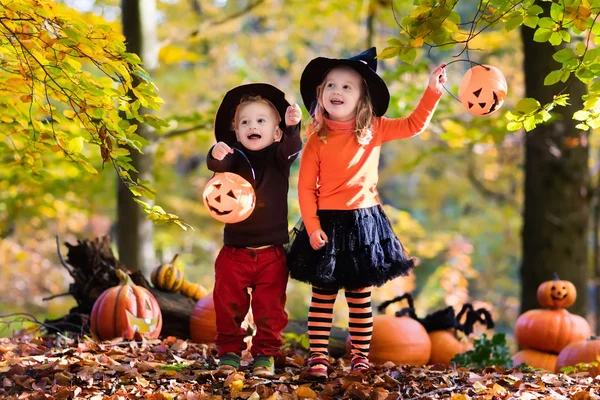Kids with pumpkins on Halloween