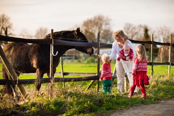 Family with kids feeding horse