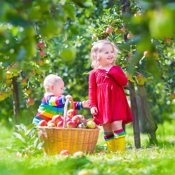 Kids picking apples in a garden
