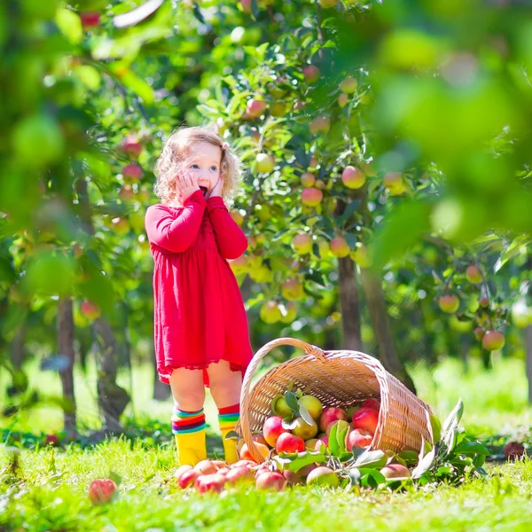 Little girl next to an apple basket tpped on its side