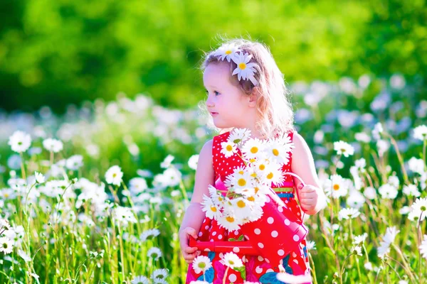 Little girl with water can in a daisy flower field
