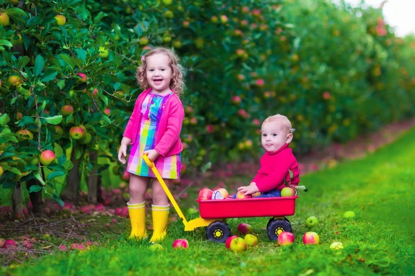 Kids picking apple on a farm