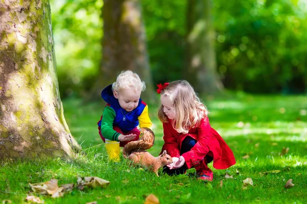 Kids feeding squirrel in autumn park