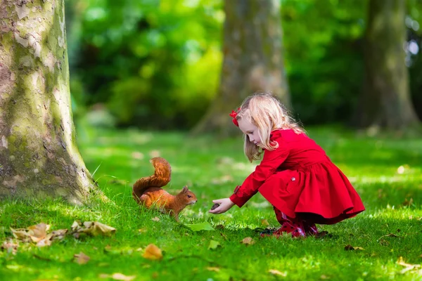 Little girl feeding a squirrel in autumn park