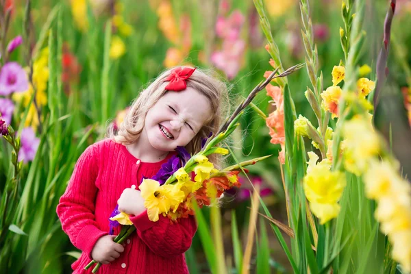 Child picking fresh gladiolus flowers