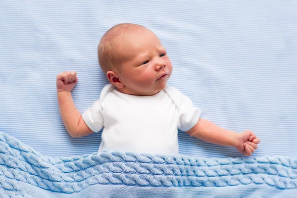 Newborn baby boy on a blue blanket