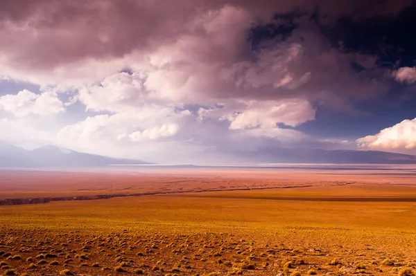Mountains of Bolivia, altiplano