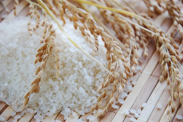 Japanese rice