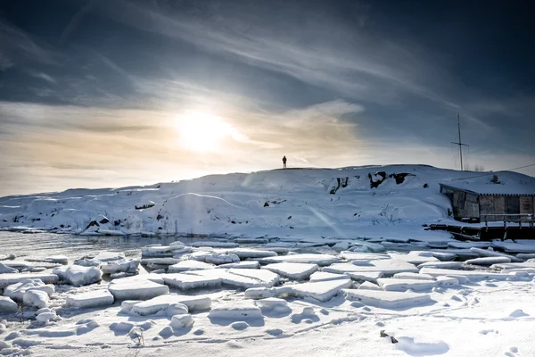 Arctic Winter Landscape