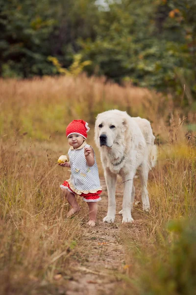 Small child and big dog