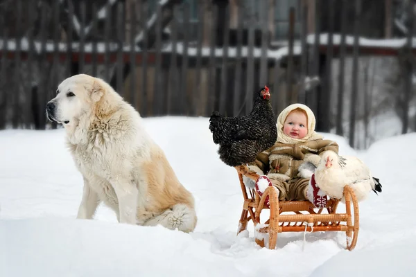The girl with the hens and the dog