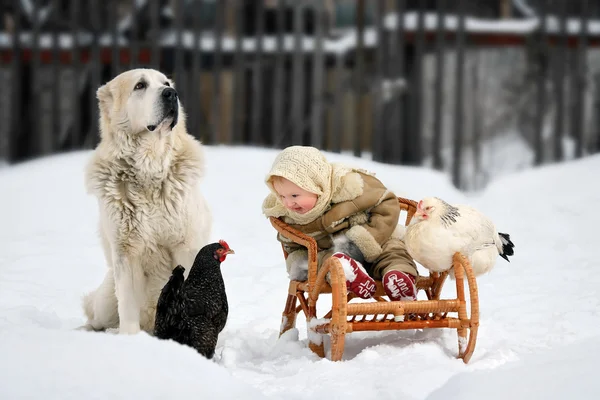 The girl with the hens and the dog