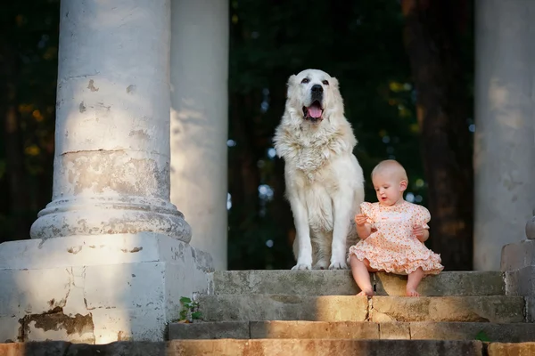 А small child with big dog