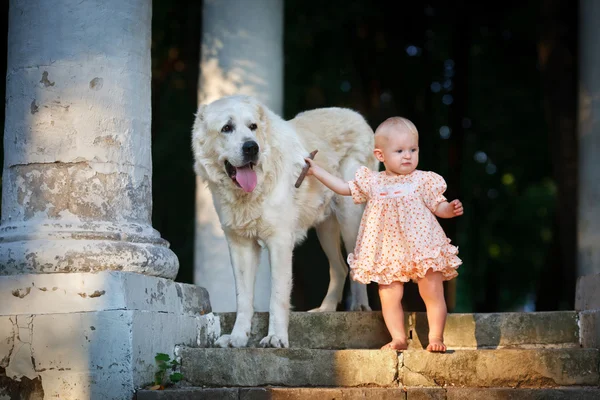 А small child with big dog