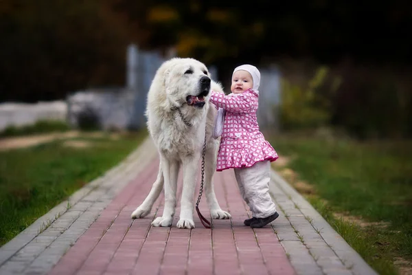 Little girl and a big dog