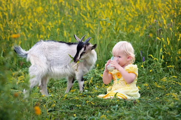 Girl drinking goat milk