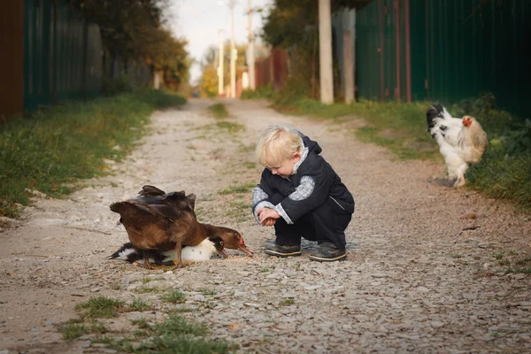 A child with ducks and chickens