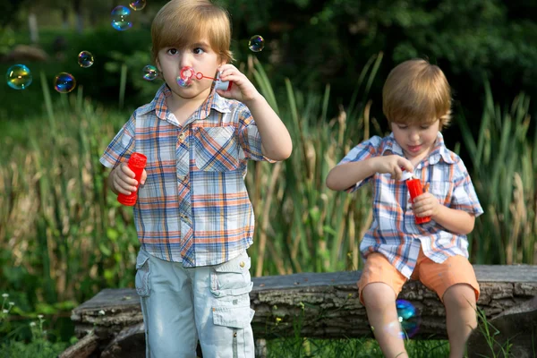 Little Twin Brothers Playing in Summer Park