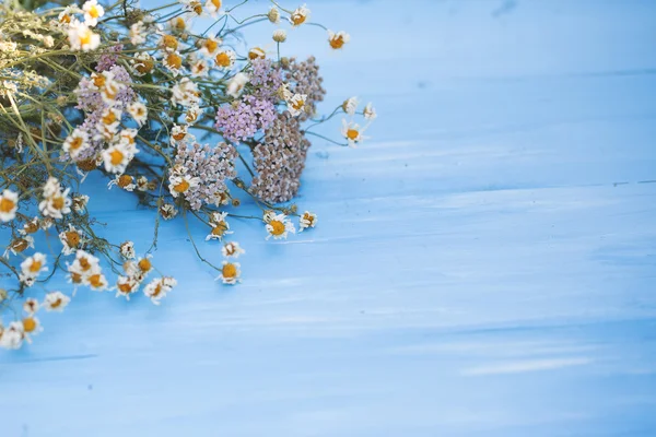 Beautiful dried flowers on blue wooden background.