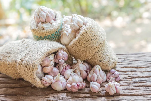 Garlic bulb garlic cloves