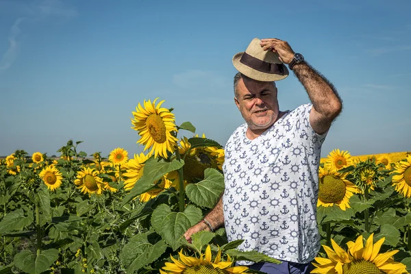 Back view of man in hat looking at sunflower