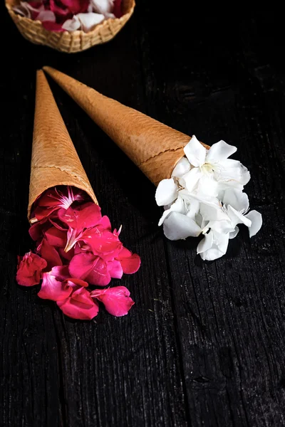 Pink and white flowers in ice cream cone on black background