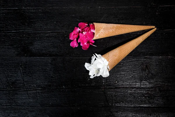 Pink and white flowers in ice cream cone on black background