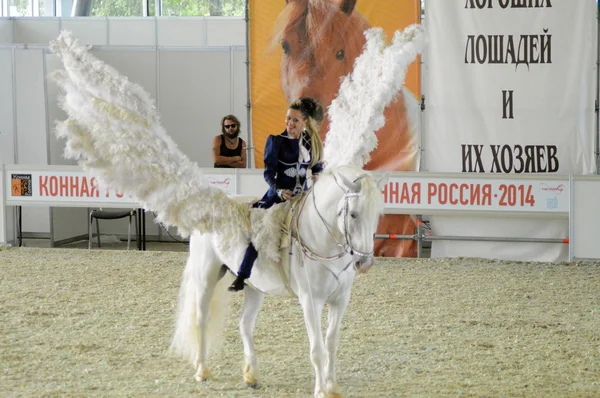 Woman jockey in blue dress International Horse Show. Female rider on a white horse. Pegasus. White Wings
