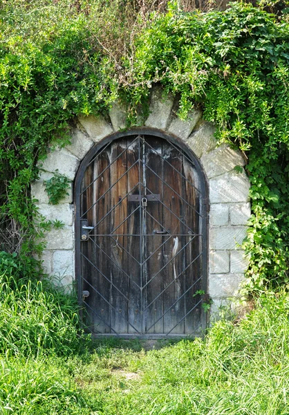 Wooden door of the wine cellar