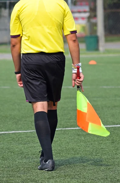 Referee on the soccer match