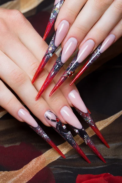 Long beautiful manicure on the fingers in black and red colors with a spider. Nails design. Close-up