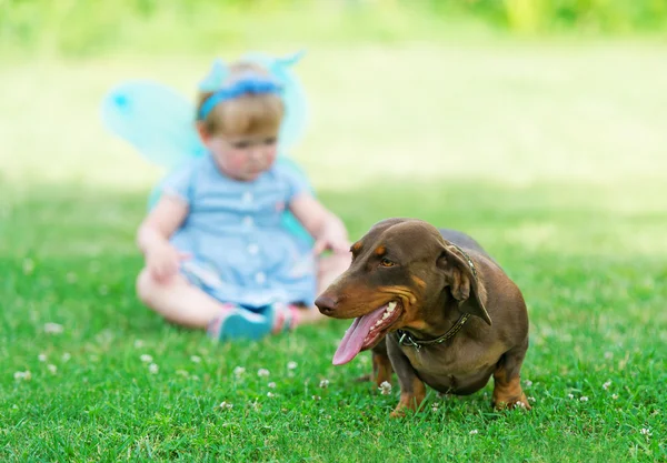 The beautiful fairy girl plays with a dog on grass
