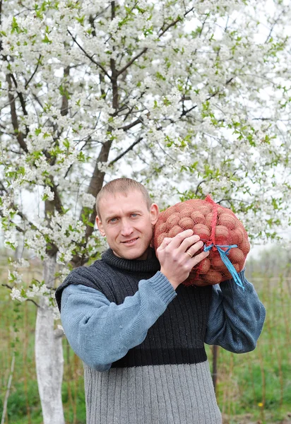 Man bears potatoes bag