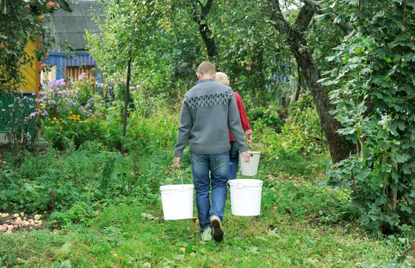 Gardeners bear water in buckets