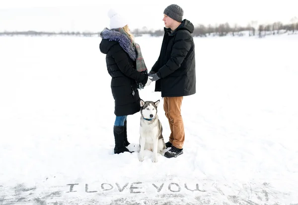 Declaration of love on snow and Siberian huskies