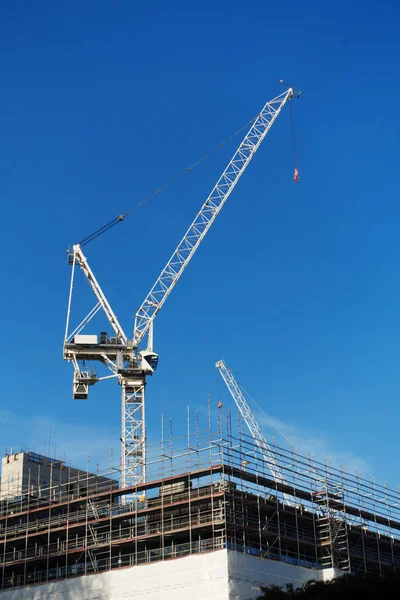 Mobile crane lifts the jib
