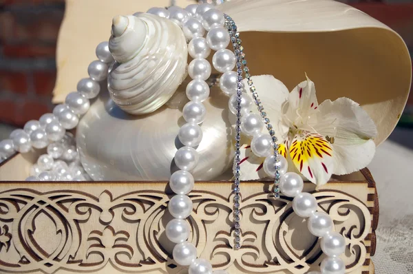 Seashell with pearls and flower