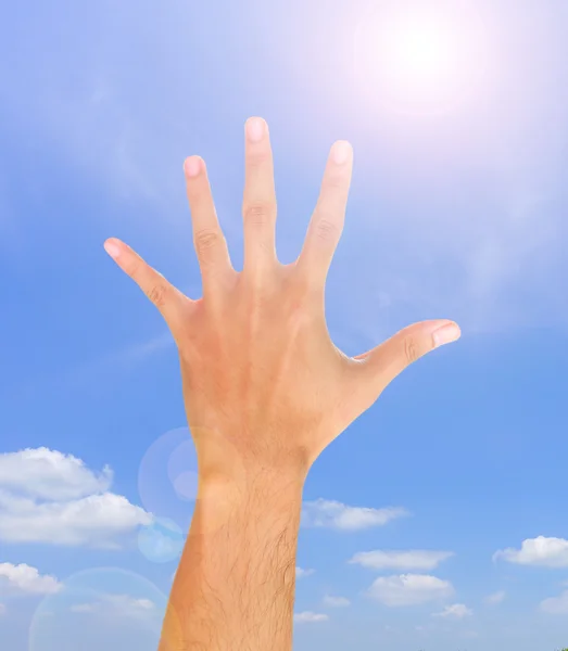 Human hand showing fingers