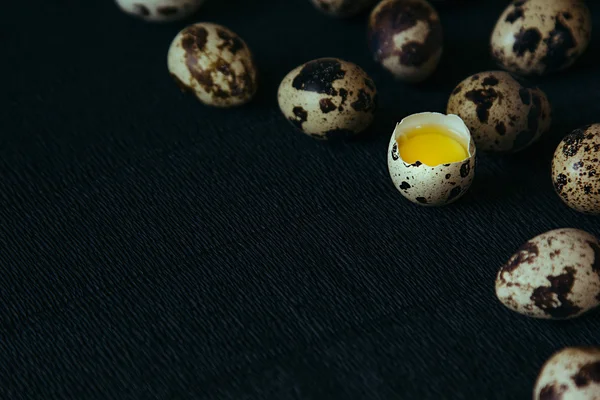 Quail eggs on a black textured background. Raw broken egg with the yolk. Easter card. Side view. Background.