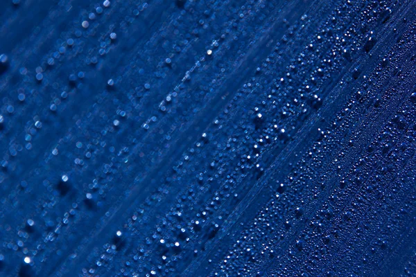 Water drops on the background. Condensate. Dark blue background. Water drops background.