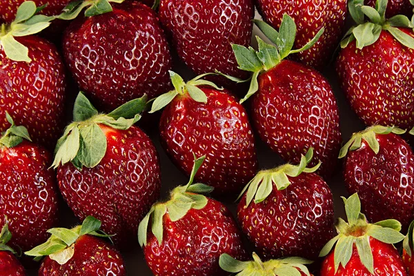 Strawberry background of whole strawberries.  Colorful ripe strawberries. Fruit background. Strawberry pattern. Spring, summer background. Macro. Texture.