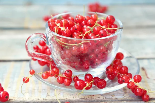 Red currants in cup and saucer