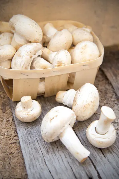 Raw mushrooms in box