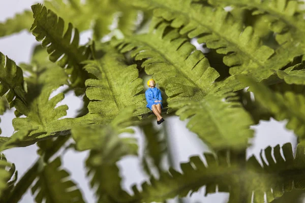 Tiny woman sitting on a leaf