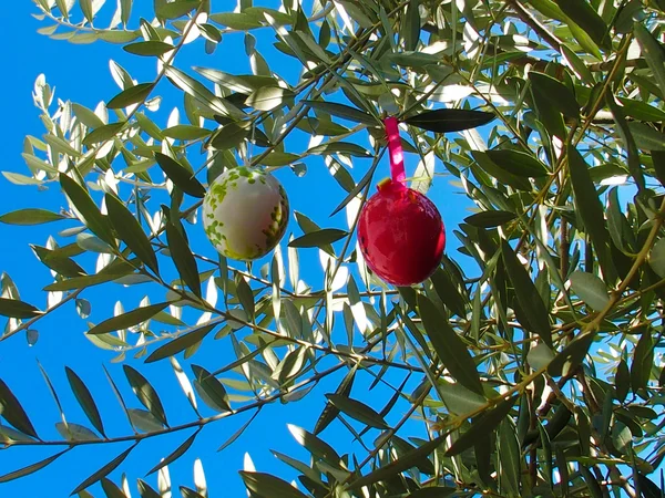 White and red wooden Easter eggs hung on a tree