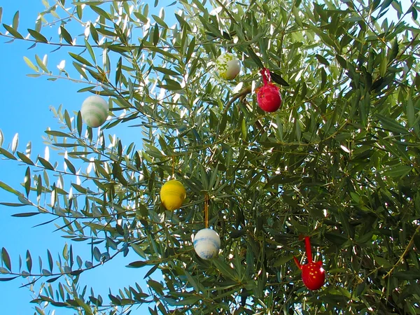 Wooden Easter colorful eggs hung on a tree