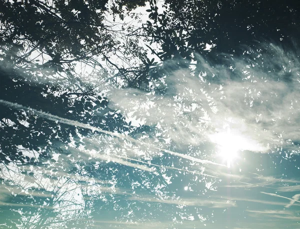 Double exposure of blue sky with clouds and leaves