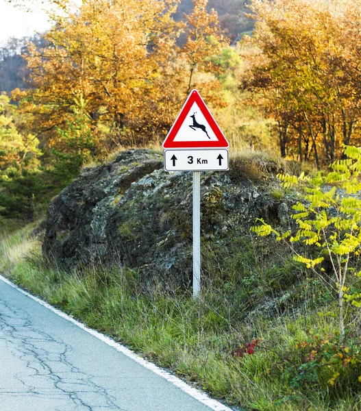 Road danger sign about wild animals in autumn environment