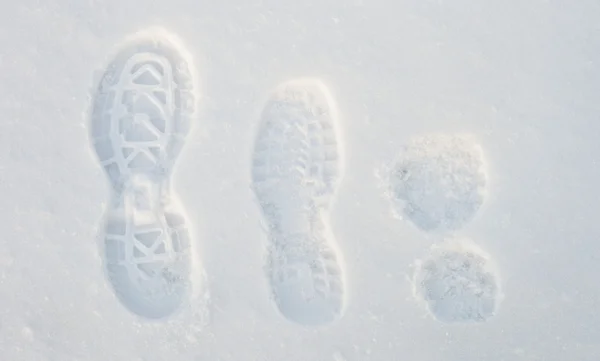 Footprints on the snow