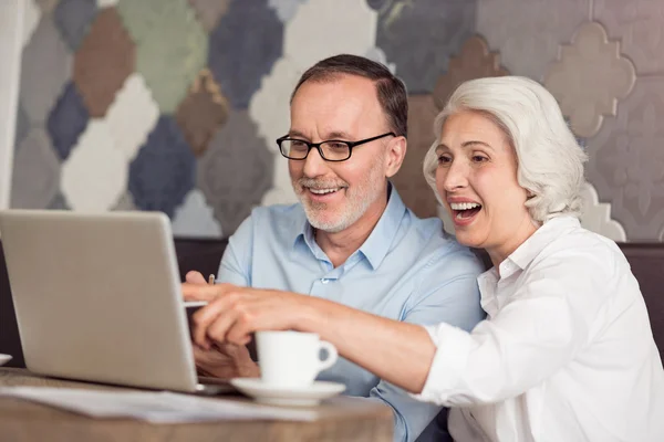 Positive senior couple using laptop